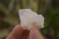 Natural White Cactus Flower Spirit Quartz Specimens x 70 From Boekenhouthoek, South Africa