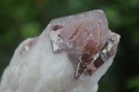 Natural Red Hematoid Phantom Quartz Crystals & Clusters  x 6 From Karoi, Zimbabwe - Toprock Gemstones and Minerals 