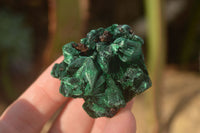 Natural Chatoyant Silky Malachite Specimens  x 12 From Congo