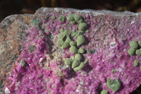 Natural Pink Salrose Cobaltion Dolomite Specimens  x 6 From Congo - Toprock Gemstones and Minerals 