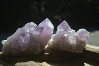 Natural Jacaranda Amethyst Clusters  x 3 From Mumbwa, Zambia - Toprock Gemstones and Minerals 