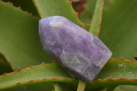 Polished Small Window Amethyst Crystals  x 12 From Madagascar - TopRock