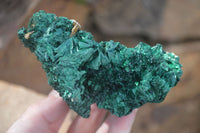 Natural Chatoyant Silky Malachite Specimens  x 2 From Congo - Toprock Gemstones and Minerals 