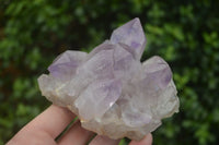 Natural Jacaranda Amethyst Clusters  x 3 From Mumbwa, Zambia - Toprock Gemstones and Minerals 