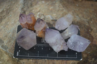 Natural Small Mixed Spirit Quartz Crystals & Clusters  x 70 From Boekenhouthoek, South Africa - Toprock Gemstones and Minerals 