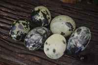 Polished Spotted Leopard Stone Free Forms  x 6 From Zimbabwe