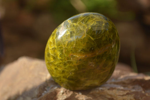 Polished  Green Opal Standing Free Forms  x 6 From Antsirabe, Madagascar