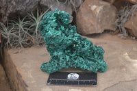 Natural Chatoyant Silky Malachite Specimens  x 2 From Congo - Toprock Gemstones and Minerals 