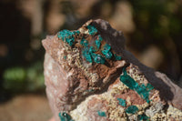 Natural Semi Crystalline Dioptase Specimens  x 2 From Grootfontein, Namibia