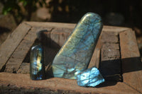 Polished Flashy Labradorite Standing Free Forms  x 3 From Tulear, Madagascar - Toprock Gemstones and Minerals 