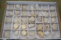 Natural Small Candle Quartz Crystals  x 35 From Madagascar - Toprock Gemstones and Minerals 