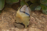 Polished Septaria (Yellow Calcite & Aragonite) Points x 2 From Mahajanga, Madagascar - TopRock