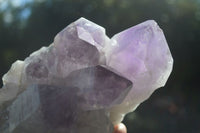 Natural Jacaranda Amethyst Clusters  x 3 From Mumbwa, Zambia - Toprock Gemstones and Minerals 