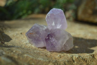 Natural Jacaranda Amethyst Crystals x 35 From Mumbwe, Zambia