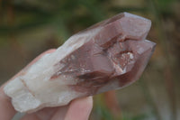 Natural Red Hematoid Phantom Quartz Crystals & Clusters  x 6 From Karoi, Zimbabwe - Toprock Gemstones and Minerals 