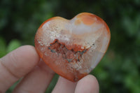 Polished Carnelian Agate Hearts  x 12 From Madagascar