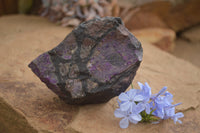 Natural XXX Rare Deep Purple Wessels Mine Sugilite Specimen x 1 From Wessels Mine, South Africa - TopRock