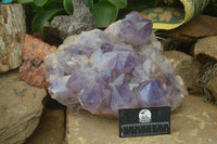 Natural Jacaranda Amethyst Cluster x 1 From Mumbwa, Zambia - TopRock