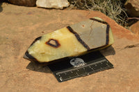 Polished Septarian (Calcite & Aragonite) Points x 2 From Mahajanga, Madagascar - TopRock