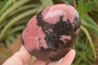 Polished  Pink & Black Rhodonite Standing Free Forms x 3 From Madagascar