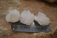 Natural White Cactus Flower Spirit Quartz Specimens x 70 From Boekenhouthoek, South Africa