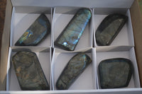 Polished Labradorite Standing Free Forms With Blue & Gold Flash  x 6 From Tulear, Madagascar - Toprock Gemstones and Minerals 