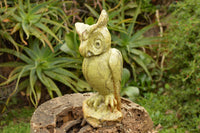 Polished Large Hand Carved Leopard Stone Owl Sculpture x 1 From Zimbabwe - TopRock