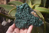 Natural Malachite Specimens x 2 From Congo