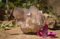 Natural Large Red Hematoid Phantom Quartz Cluster  x 1 From Karoi, Zimbabwe - TopRock