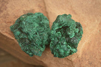 Natural Chatoyant Silky Malachite Specimens  x 12 From Congo