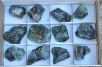 Natural Cobbed & Stone Sealed Watermelon Fluorite Pieces x 12 From Uis, Namibia - TopRock