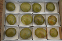 Polished Large Green Opal Palm Stones  x 12 From Antsirabe, Madagascar - Toprock Gemstones and Minerals 