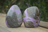 Polished Stichtite & Serpentine Standing Free Forms With Silky Purple Threads  x 2 From Barberton, South Africa - Toprock Gemstones and Minerals 