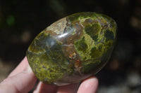 Polished Green Opal Standing Free Forms  x 6 From Madagascar - Toprock Gemstones and Minerals 