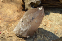 Natural New Smokey Quartz Crystal Specimens  x 6 From Mt. Mulanje, Malawi - TopRock