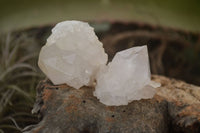 Natural White Cactus Flower Spirit Quartz Specimens x 70 From Boekenhouthoek, South Africa