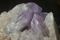 Natural Large Jacaranda Amethyst Cluster  x 1 From Mumbwa, Zambia - Toprock Gemstones and Minerals 