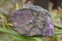 Natural XXX Rare Deep Purple Wessels Mine Sugilite Specimen x 1 From Wessels Mine, South Africa - TopRock