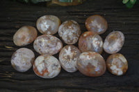 Polished Ocean  Flower Agate Palm Stones  x 12 From Madagascar