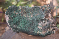 Natural Crystalline Micro Botryoidal Malachite Specimens  x 2 From Congo