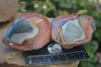 Polished One Side Polished Polychrome Jasper Nodules  x 6 From Mahajanga, Madagascar