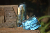 Polished Flashy Labradorite Standing Free Forms  x 3 From Tulear, Madagascar - Toprock Gemstones and Minerals 