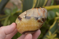 Polished Septaria Dragon's Eggs (Calcite & Aragonite) x 5 From Mahajanga, Madagascar - TopRock