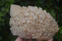 Natural Large Candle Quartz Formations  x 2 From Madagascar - Toprock Gemstones and Minerals 