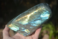 Polished Flashy Labradorite Standing Free Forms  x 3 From Tulear, Madagascar - Toprock Gemstones and Minerals 