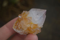 Natural Small Mixed Spirit Quartz Crystals & Clusters  x 70 From Boekenhouthoek, South Africa - Toprock Gemstones and Minerals 