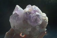 Natural Jacaranda Amethyst Clusters  x 3 From Mumbwa, Zambia - Toprock Gemstones and Minerals 