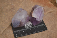 Polished Small Window Amethyst Crystals  x 12 From Madagascar - TopRock