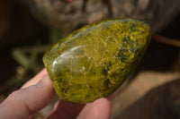 Polished  Green Opal Standing Free Forms  x 6 From Antsirabe, Madagascar