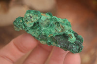 Natural Chatoyant Silky Malachite Specimens  x 12 From Congo